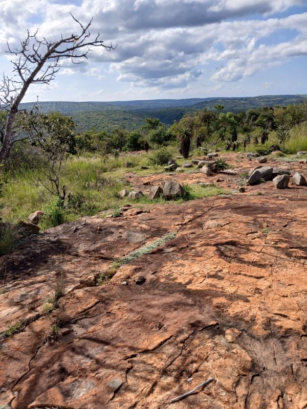 Rolling green hills and natural bushveld at Highland Fling Nature Reserve in Eswatini